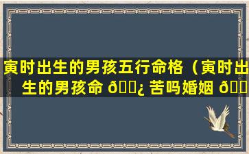 寅时出生的男孩五行命格（寅时出生的男孩命 🌿 苦吗婚姻 🌴 怎么样）